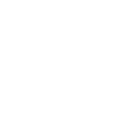 DracoFoxStudios Logo